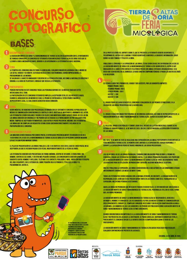 Bases concurso fotografia
