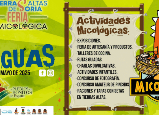 Actividades micológicas
